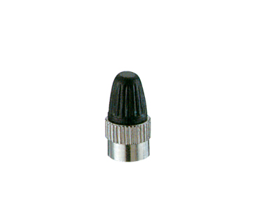 CA1-NI
